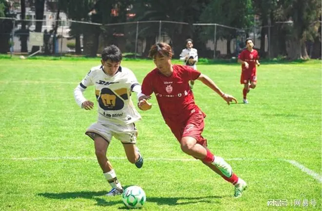 汽车大咖比亚迪力托:中国足球小将“世界杯”之行