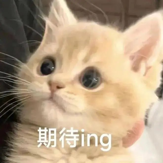 《足球周刊》2026下半年刊订阅开启,有机会得世界杯冠军队球衣!