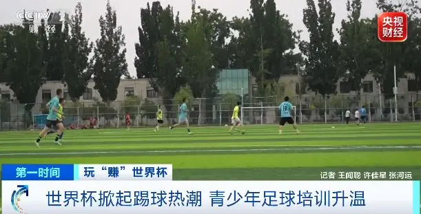 草坪“忙”起来了!订场率提升50%→