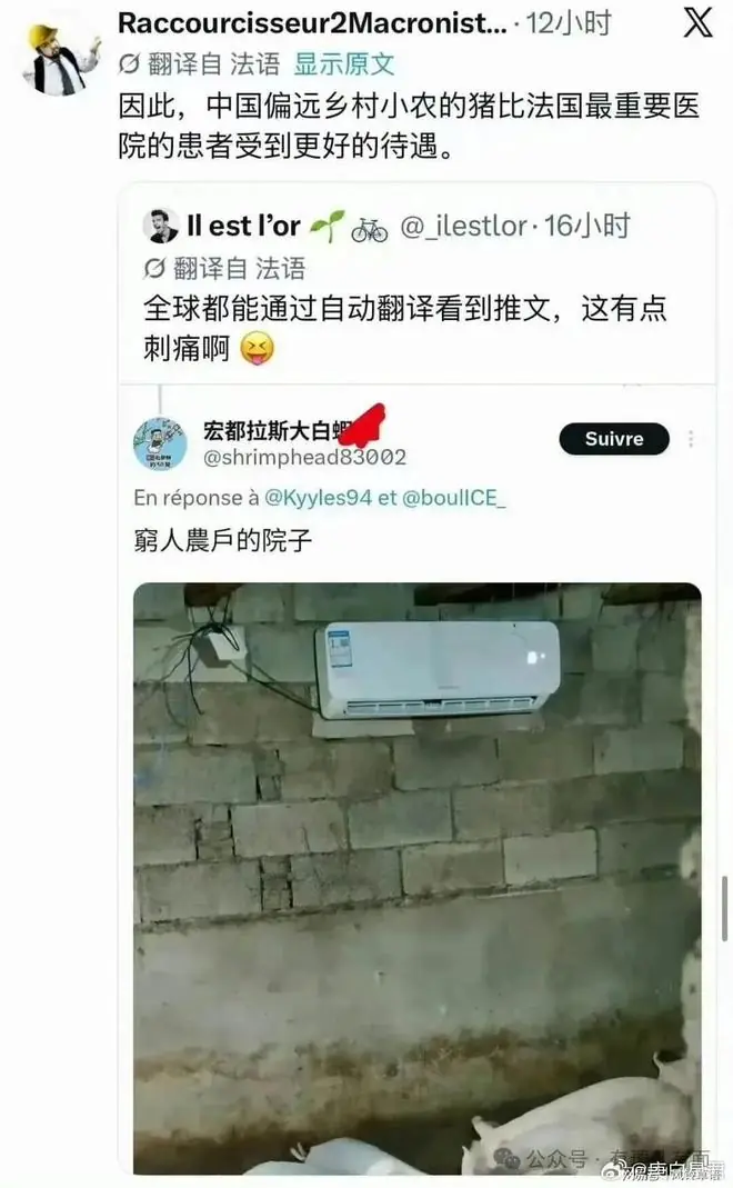 为什么欧洲舆论会被中国猪圈空调“刺痛”?