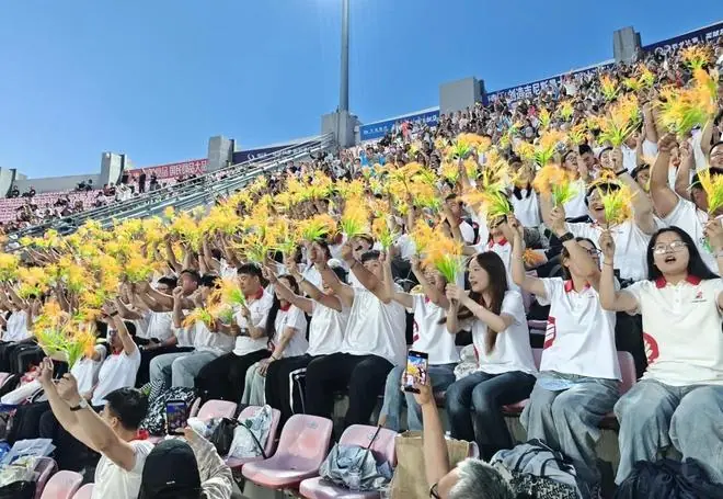 200多名“卫国戍边”志愿者服务东北地区城市足球联赛延边主场赛