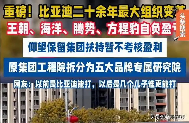比亚迪分家后,四个品牌走出四条路