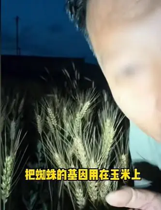 200万粉丝网红诋毁袁隆平成果，公然将“三系杂交技术”称为“变态杂交”、“病态杂交”，将“雄性不育”称为“怕吃完像骡子一样不生育”