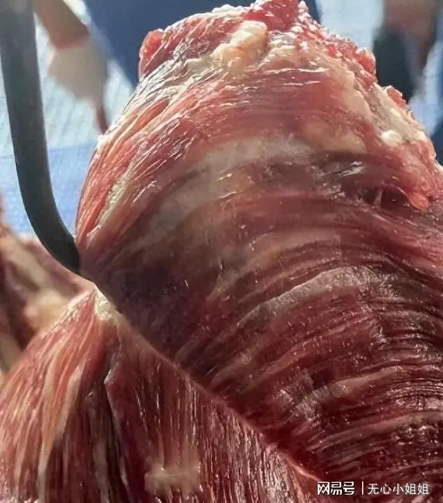 内行人买牛肉,是买“挂着的”还是“摆着的”?切记这“3不买”