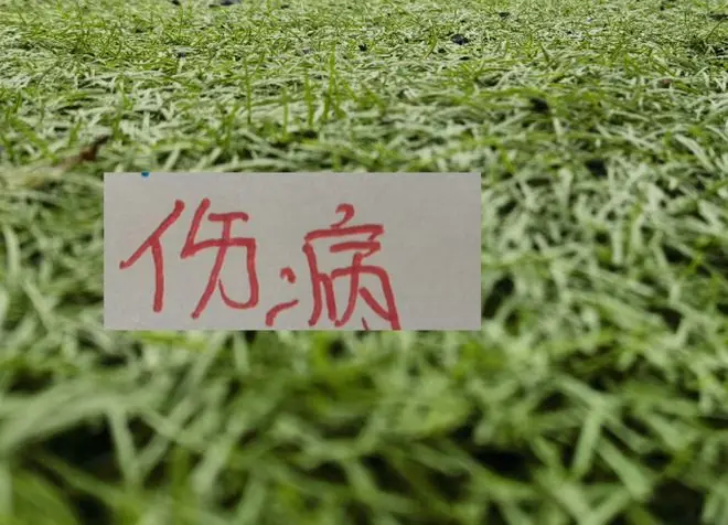 本赛季!申花已有4个球员经历手术治疗 分别是李可 龙哥 盖伊 金顺凯