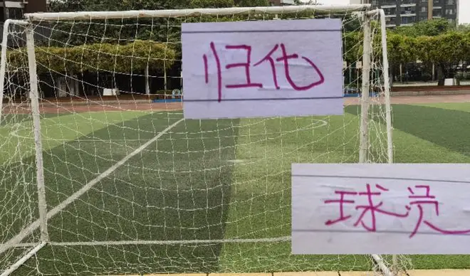 山东出租归化球员 从佛得角后裔德尔加多 再到前年租借到申花费南多