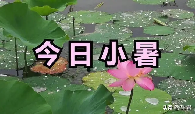 不是迷信，今日小暑是“闭日”，无论多忙，记得4事别犯忌讳！