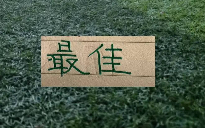 中超公布!第17轮官方最佳球员评选 北京国安有2个球员入围