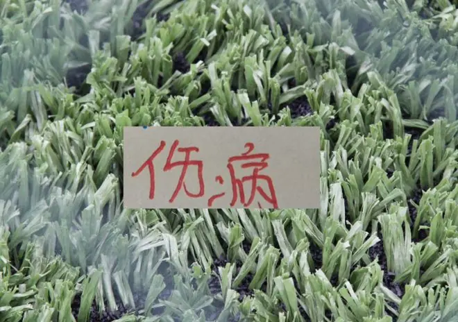 京鲁大战各有主力上不了!北京国安是张稀哲+王刚