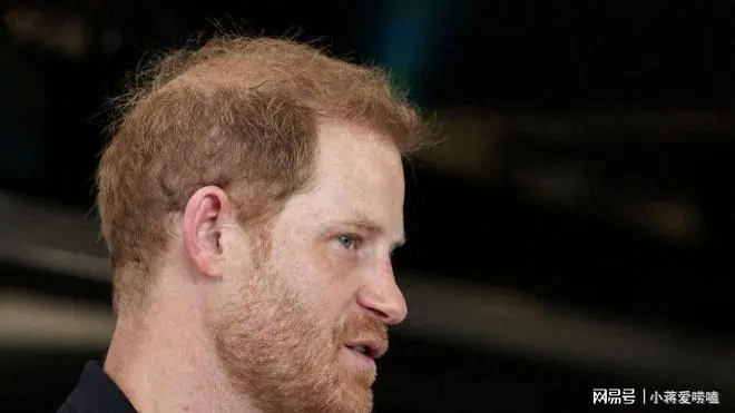 William and 弟已弟鄙弟<strong></strong>Harry