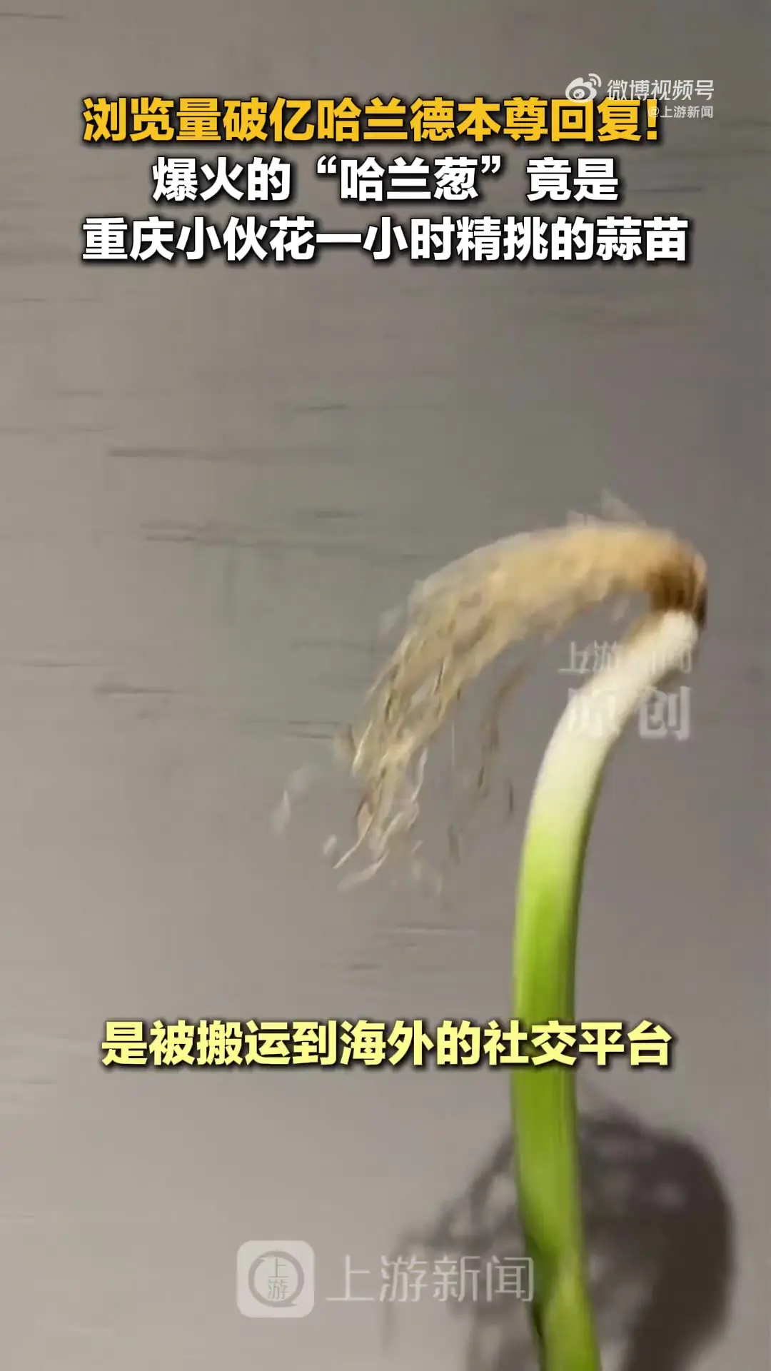 cos哈兰德的是蒜苗不是葱!重庆小伙才是原作者 视频被偷浏览破亿