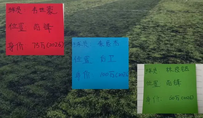 成都韦世豪 申花朱辰杰 算是今年中超本土球员发挥最好