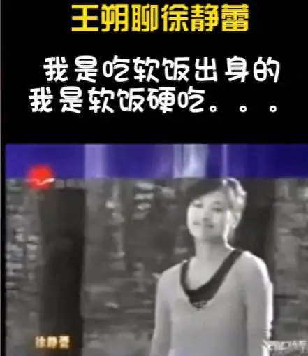 王朔：我的财产要留给徐静蕾，在离婚后，只有她愿意给我房子住