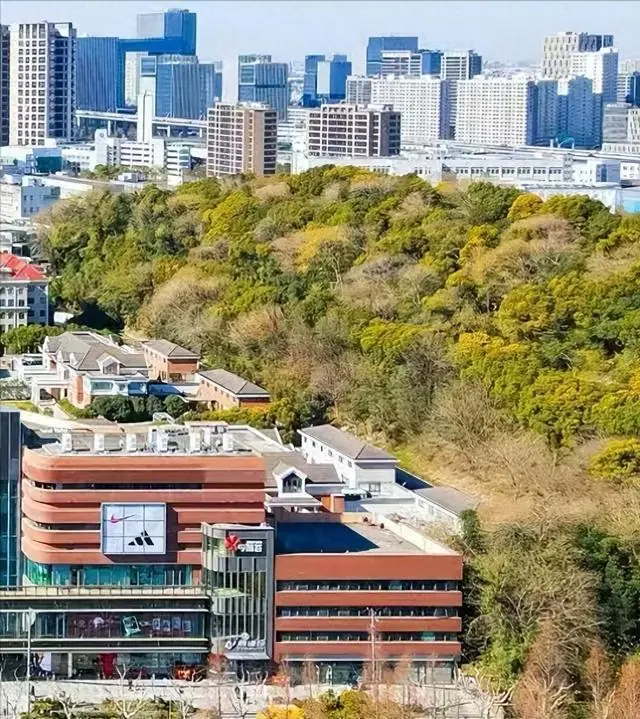 上海中环藏军事禁区荒山,紧邻百年老墓,为何永久不开放?