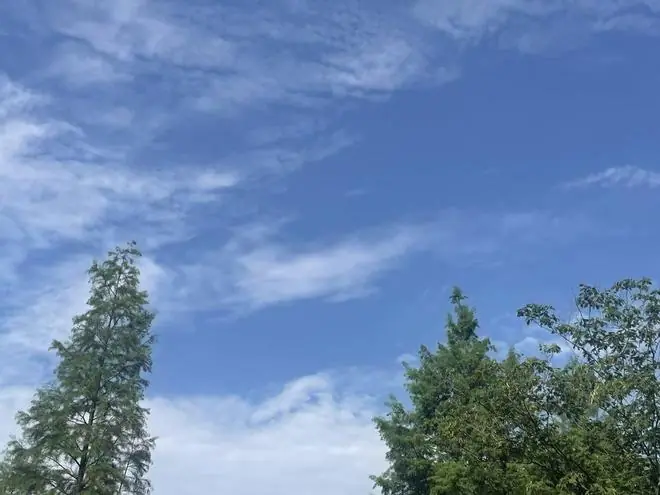 在过假夏天?武汉本世纪第二次入夏以来高温日为0!38℃!9日起高温连刷三天为夏正名