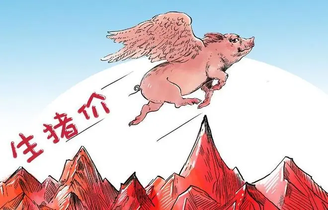 一夜起飞,猪价上涨“涨翻天”!附:7月1日猪价