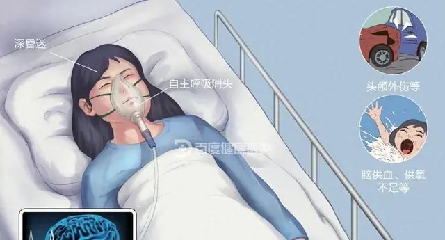 湖北女孩确诊脑死亡 父母刚签完器官捐赠 突然接到陌生来电 我能救活