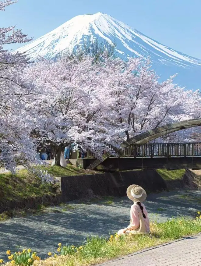 富士山没有铁丝网,这里的山河湖海也没有门票