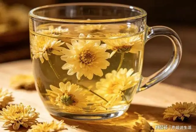 研究发现:菊花茶可以在一天内溶解血栓、扩张血管,是真的吗?