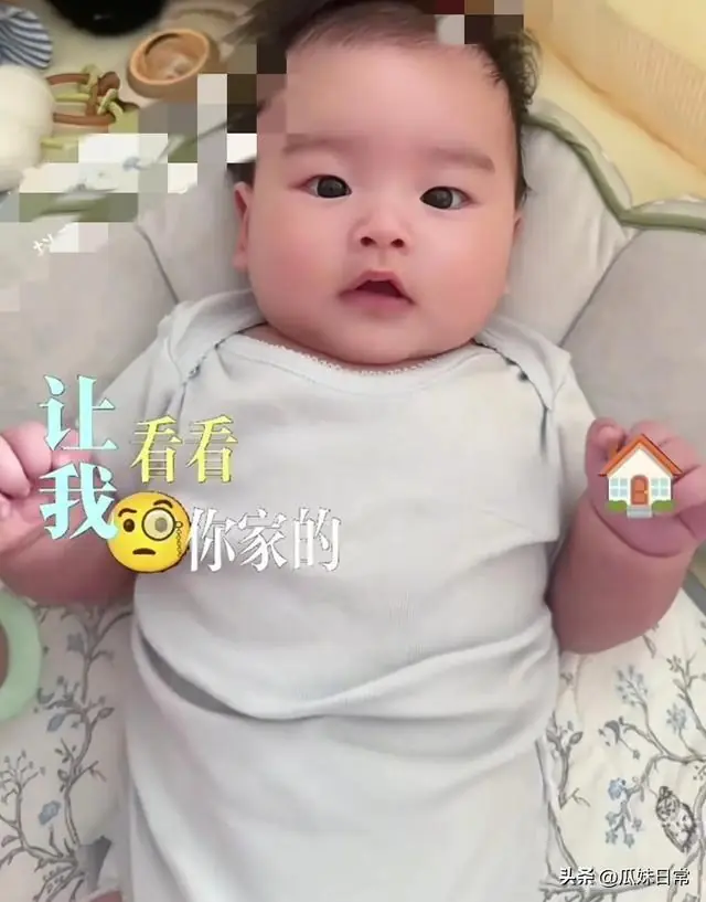 明明相处不多，为何汪宝儿认人后，独独偏爱姐姐玥儿？
