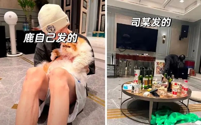 图片占位