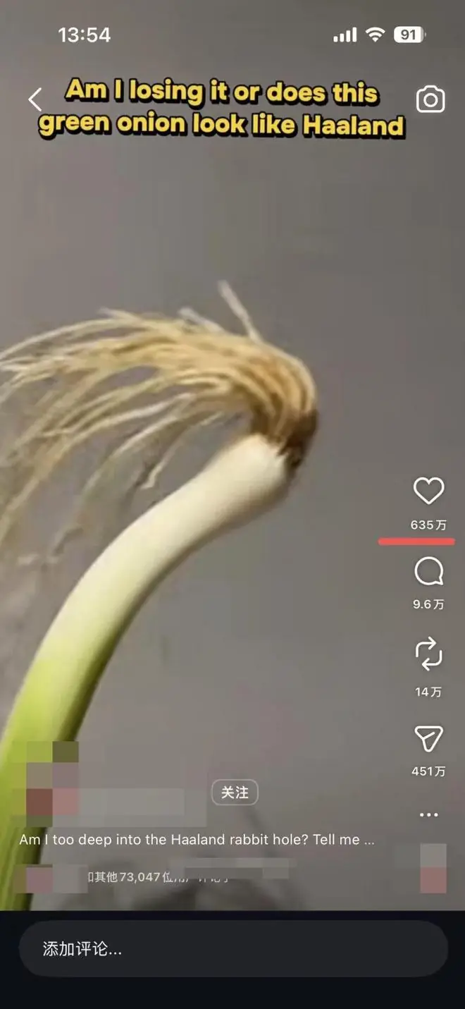 浏览量破亿哈兰德本尊回复！爆火的“哈兰葱”竟是重庆小伙花一小时精挑的蒜苗