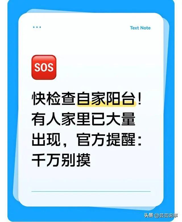 快检查自家阳台！有人家里已大量出现，官方提醒：千万别摸
