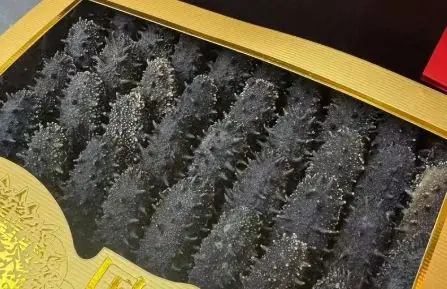 保姆偷我10盒海参,我没报警辞退了她,她临走下意识看监控,我打开一看,瞬间瘫倒在地