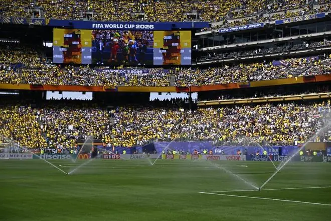 队报：FIFA出售世界杯决赛草皮碎片，8104份总价1120万美元