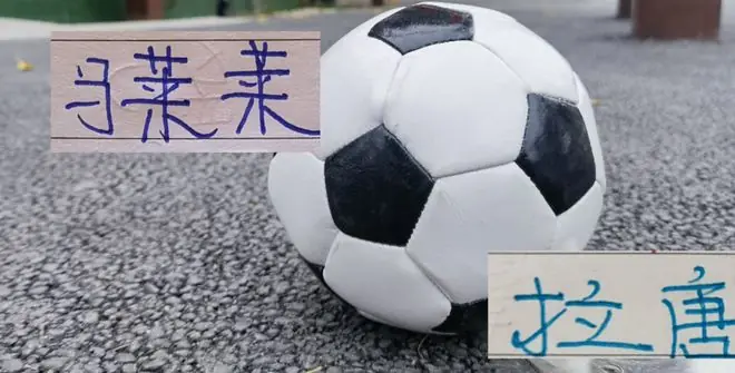 第17轮 大连英博马莱莱 申花拉唐都有进球 两个球员谁更加厉害？