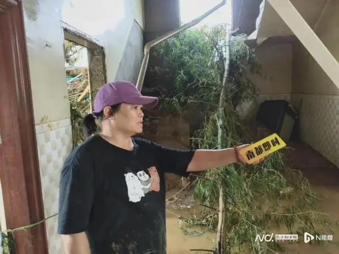 小狗旺财被冲走,广西一村民哽咽:转移上山一个小时后,“大坝崩开缺口,声音很大,轰隆隆隆”