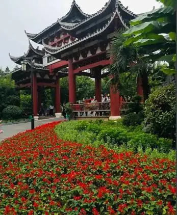 太刺痛!贵阳观山湖公园的相亲角,条件一个比一个明确,本地人看完都沉默不语。