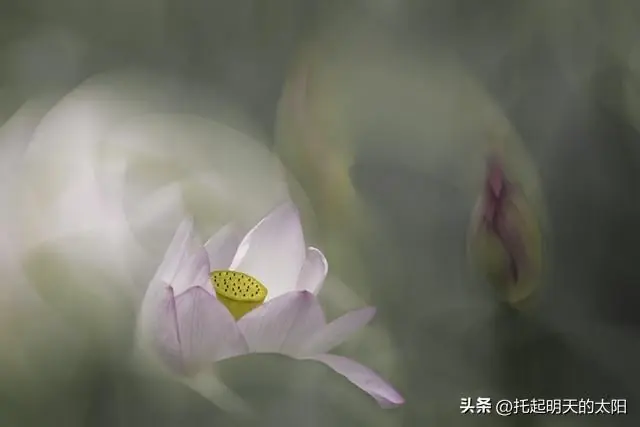 大学毕业才彻底醒悟:入不入党,根本不是一个身份