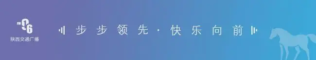 演员何炜晴去世