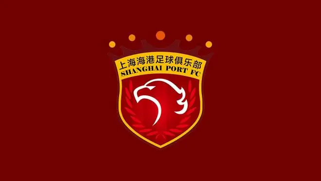 记者:海港队航班因大雨延误,赛前发布会延后至今夜24点进行