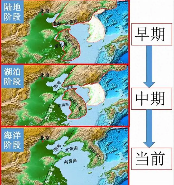 大连蛇岛疯狂“内卷”，20000条毒蛇毒性越来越强，仍有人在守护