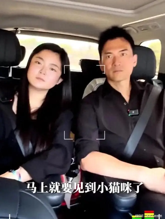 赫子铭终于敢晒老婆了！比何洁柔和旺夫，丰腴贵气超有福气