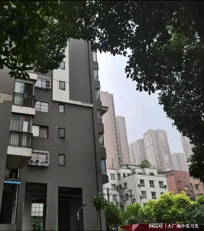 武汉男子报警举报遛狗不牵绳,转头就被警察送进精神病院67天